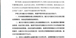 北屯振方房地产开发有限公司声明免去杨勇执行董事兼总经理、法定代表人职务