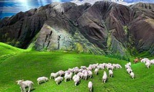 亚欧商品贸易博览会空降一座“昆仑山”等你去揭秘！